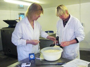 Cheese-Making Courses